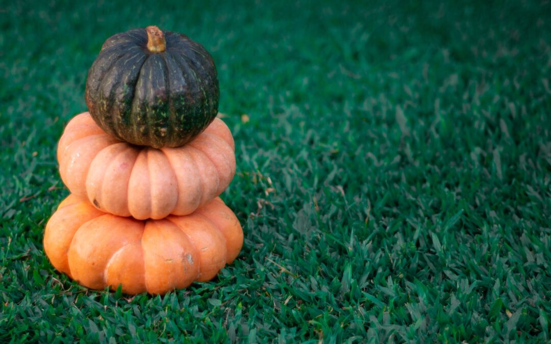 A stack of three small pumpkins the bottom two are orange and flat and the top pumpkin is black