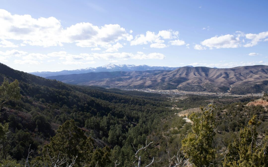 New Mexico and El Paso Short-Term Rental Associations Launch Emergency Accommodation Program for Ruidoso Fire Victims and Emergency Responders